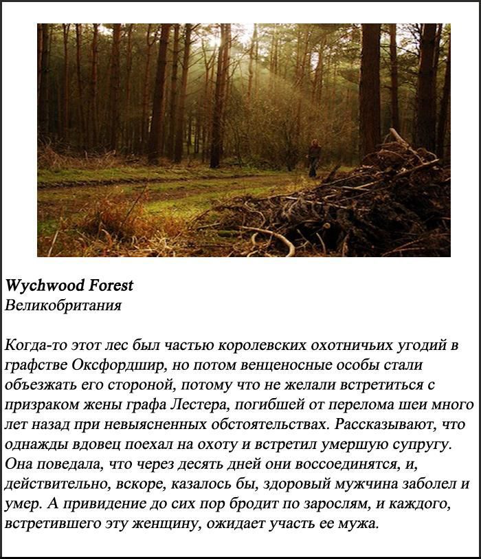 10 самых пугающих лесов нашей планеты