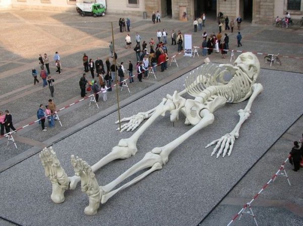 Гигантский скелет