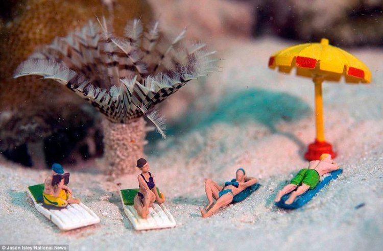 Подводные миниатюры
