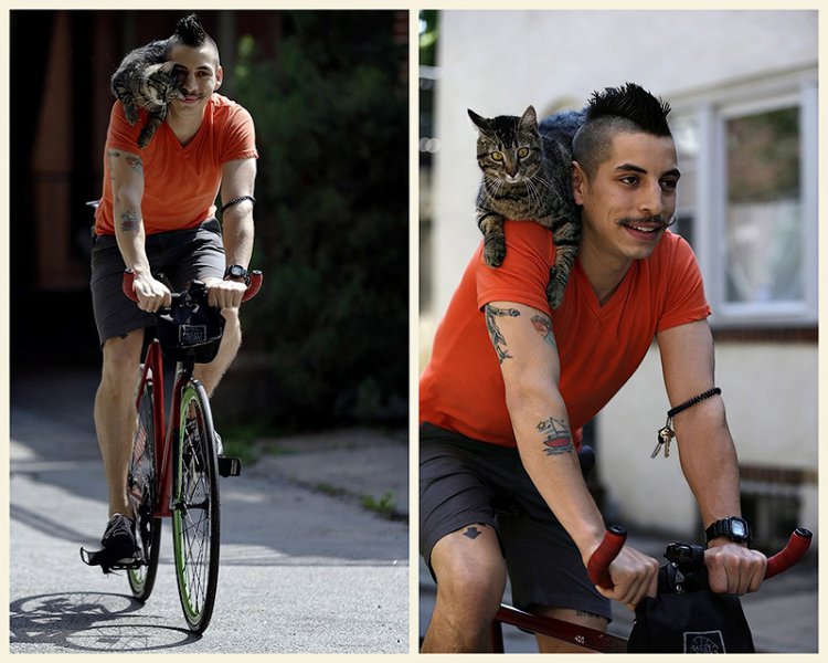 Велосипедист и его кошка