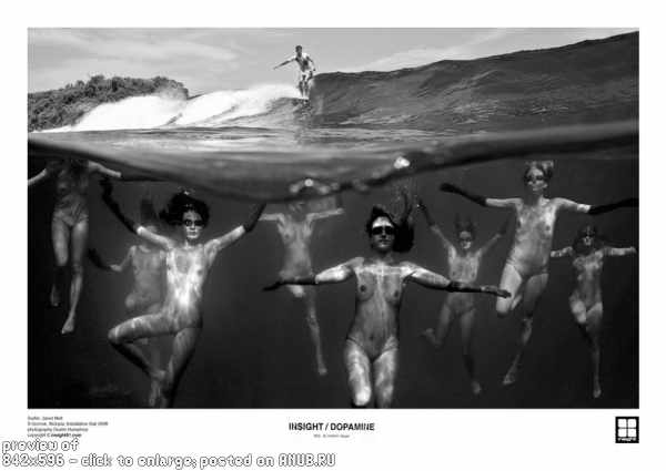 Серфинг фото от Дастина Хамфри