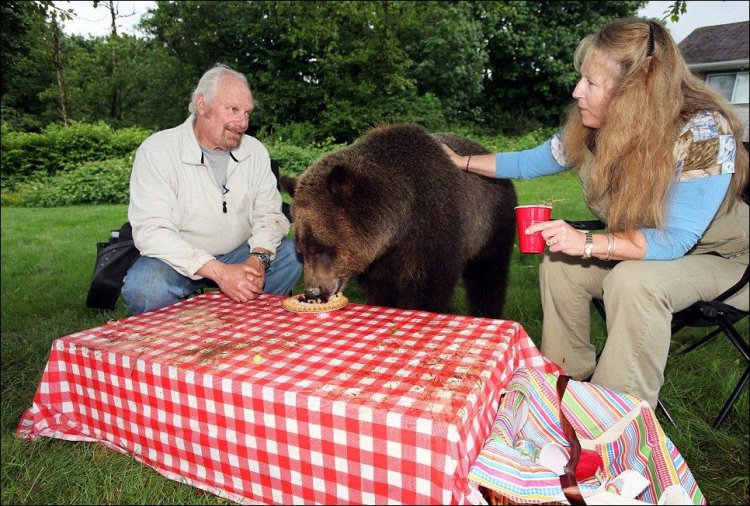 Семья из Ванкувера держит у себя дома медведя