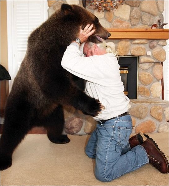 Семья из Ванкувера держит у себя дома медведя