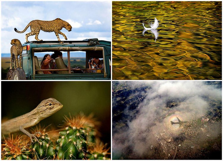 Лучшие фотографии National Geographic за сентябрь