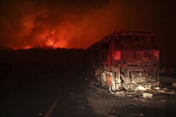 Лесные пожары на севере Израиля