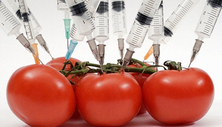 7 ГМО-продуктов, которые вынесут вам мозг
