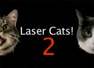 Laser Cats! ← Видео на Ануб.Ру