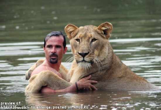 Поплавал с львицей