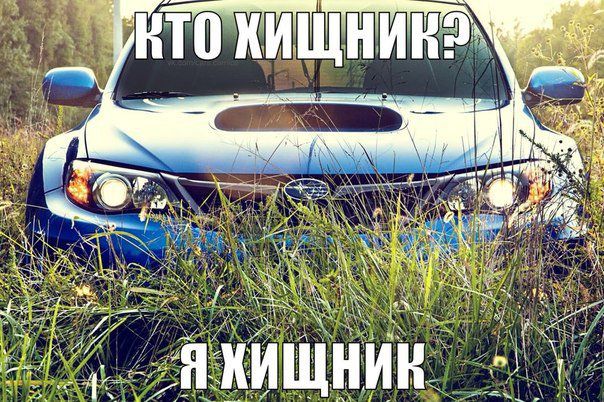 Подборка автоприколов