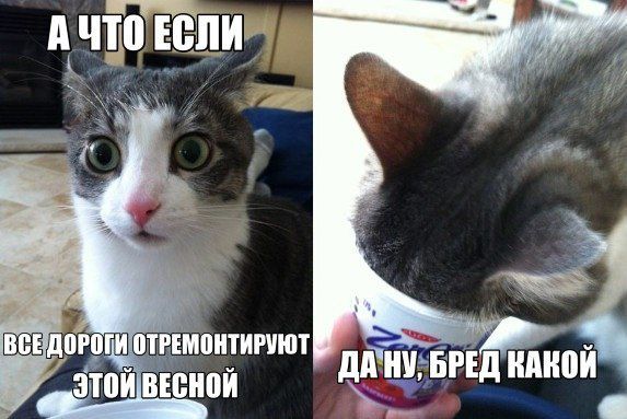 Подборка автоприколов