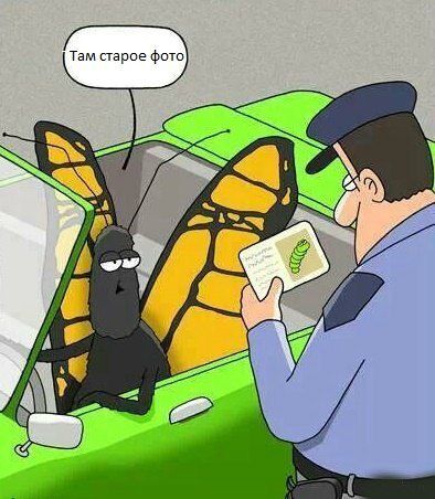 Подборка автоприколов