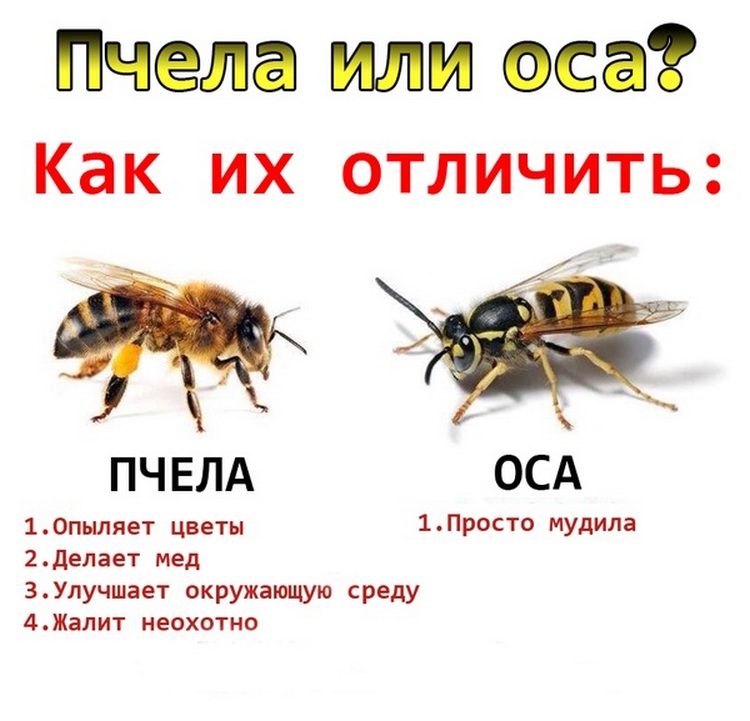 Подбоpка прикольных и интеpесных картинок