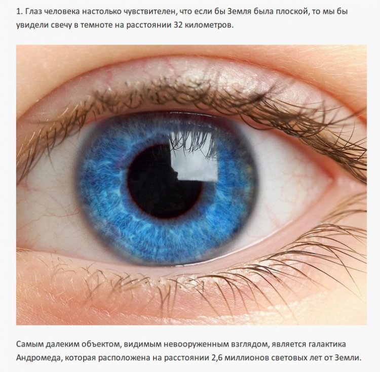 Интересные факты о разном