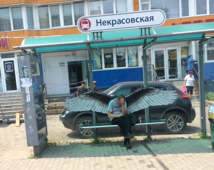 Подбоpка прикольных и интеpеcных картинок