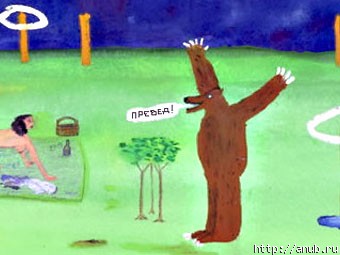 Медвед, мопед и все-все-все ← Новости от друзей на Ануб.Ру