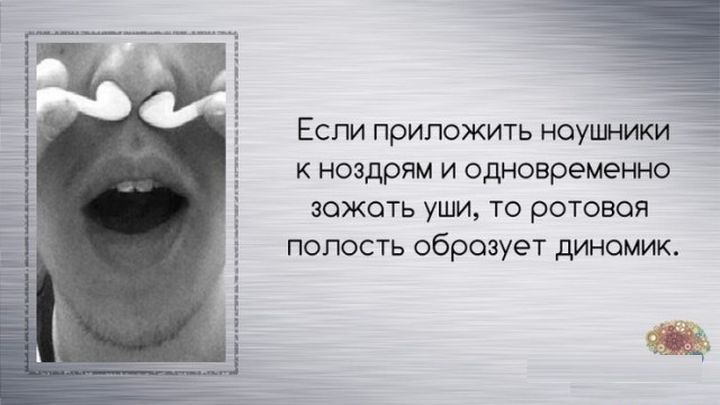 Интересные факты обо всём на свете