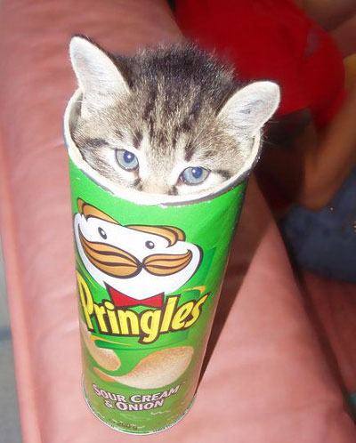 Pringles с сюрпризом