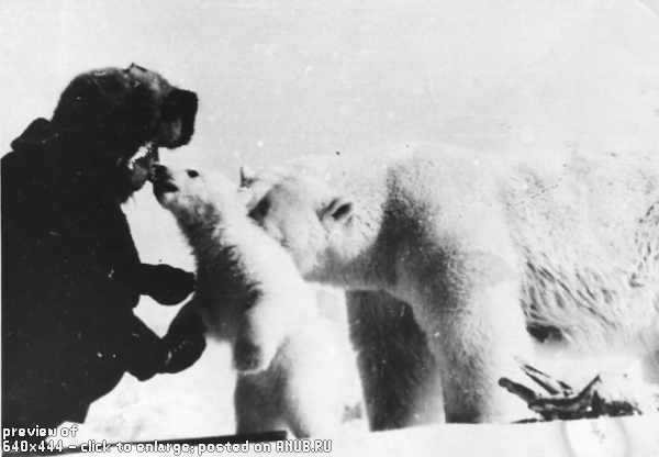 Дружба людей и медведей